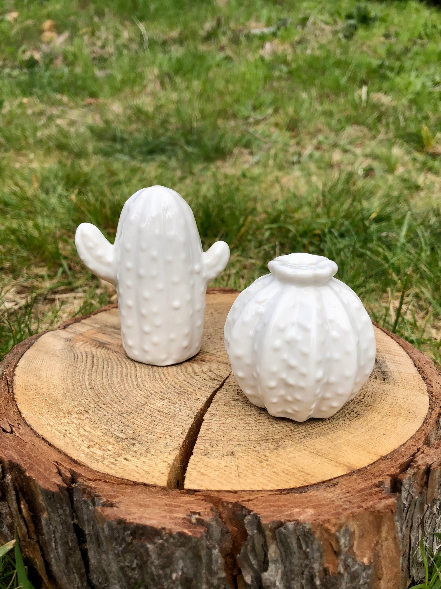 White Cactus Salt & Pepper Shakers