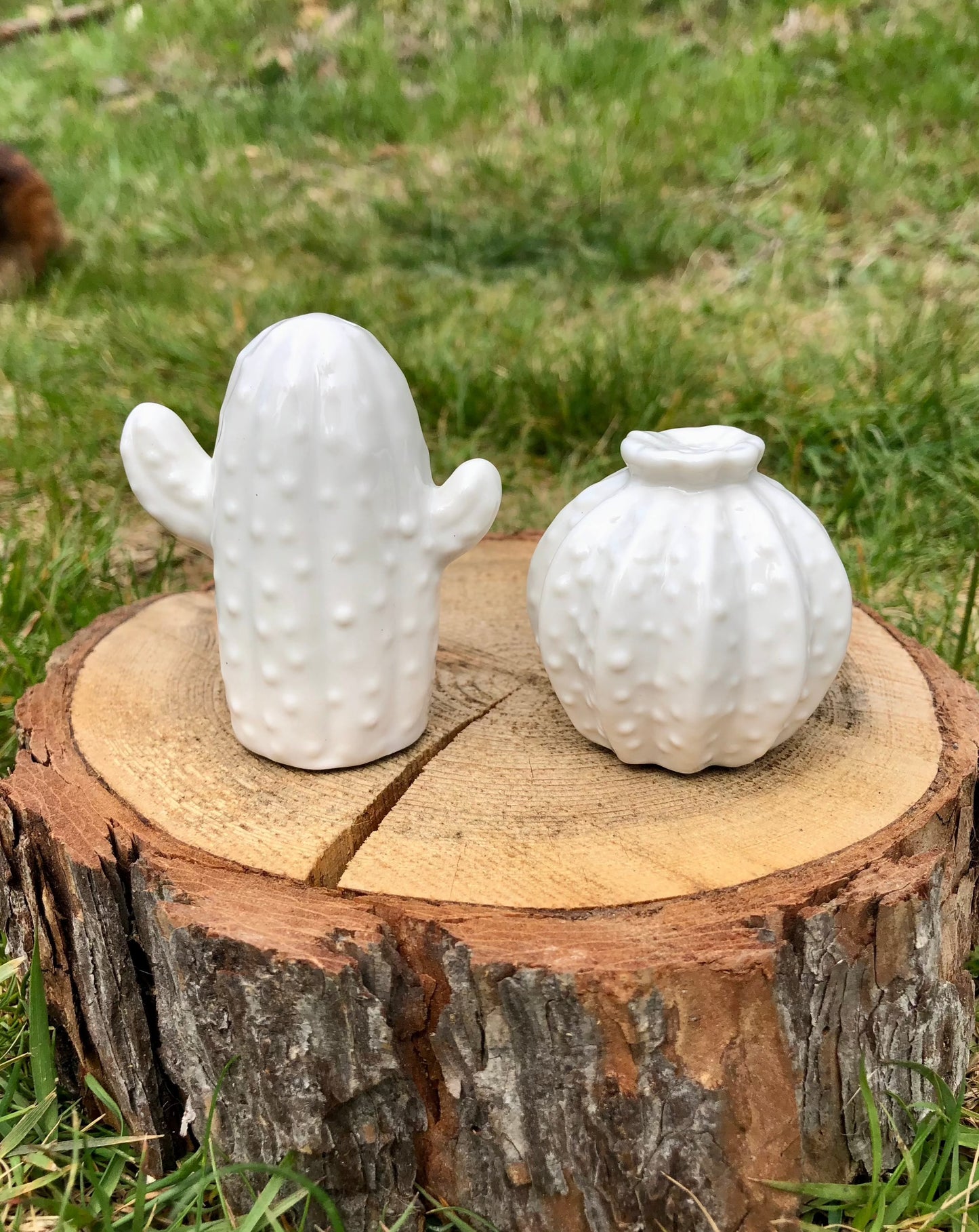 White Cactus Salt & Pepper Shakers